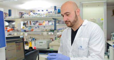 Без оплодотворения: ученые впервые создали синтетические эмбрионы - focus.ua - Украина - Израиль