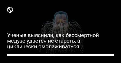 Ученые выяснили, как бессмертной медузе удается не стареть, а циклически омолаживаться - liga.net - Украина