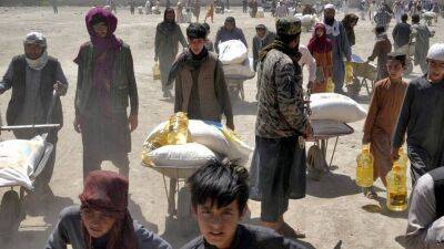 Мартин Гриффитс - Афганистан: год под властью талибов - ru.euronews.com - Афганистан