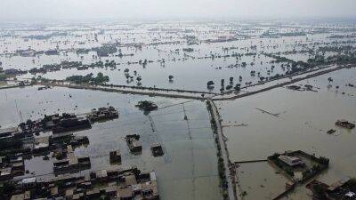 Антониу Гутерриш - Пакистан просит срочную помощь в связи с наводнениями - ru.euronews.com - Пакистан - Исламабад