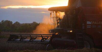 В Беларуси намолочено 7,8 млн тонн зерна - grodnonews.by - Белоруссия