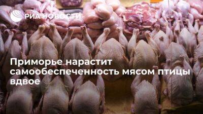 Приморье нарастит самообеспеченность мясом птицы до 30 процентов - smartmoney.one - Приморье край