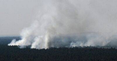 Берлин - На западе Берлина взорвался склад с боеприпасами: огонь перекинулся на лес - focus.ua - Украина - Германия - Берлин - Чехия