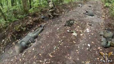 Українські десантники знищили групу окупантів на Донеччині - lenta.ua - Украина - Росія