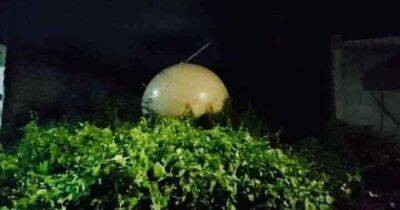 Драконье яйцо или метеозонд: в Мексике с неба упал таинственный шар (фото) - focus.ua - Украина - Мексика
