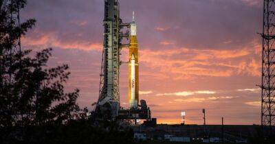 NASA назвала окончательную дату запуска лунной миссии Artemis I - focus.ua - Украина - Ракеты