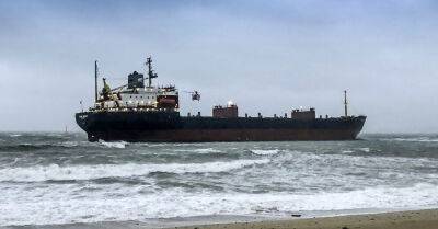 В украинский порт впервые с 24 февраля прибыло судно под загрузку - rus.delfi.lv - Россия - Украина - Турция - Одесса - Латвия - Стамбул - Черноморск - Большая Одесса