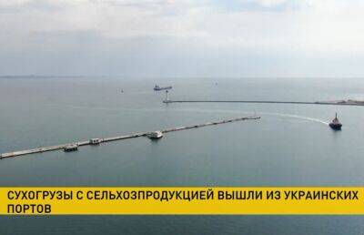 Еще четыре сухогруза с сельхозпродукцией вышли из украинских портов в Стамбул - ont.by - Россия - Китай - Украина - Италия - Белоруссия - Турция - Стамбул - Ливан
