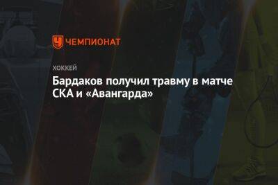Алексей Емелин - Федор Малыхин - Захар Бардаков - Матвей Мичков - Бардаков получил травму в матче СКА и «Авангарда» - championat.com - Россия - Сочи - Sochi