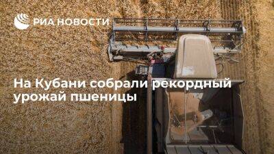 Вениамин Кондратьев - Губернатор Кубани Кондратьев сообщил о рекордном урожае пшеницы - smartmoney.one - Краснодарский край