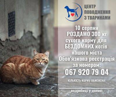 Харьковчанам будут раздавать корм для уличных котов - objectiv.tv - Украина - Харьков