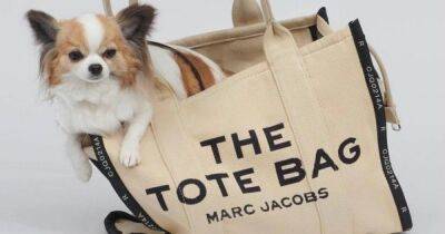 Канье Уэста - Marc Jacobs - Очаровательные собаки рекламируют сумки Marc Jacobs - focus.ua - США - Украина - Нью-Йорк
