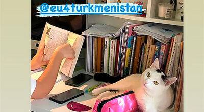 Евросоюз поддержал закон о защите собак в Туркменистане и объявил декаду любви к питомцам - dialog.tj - Россия - Туркмения