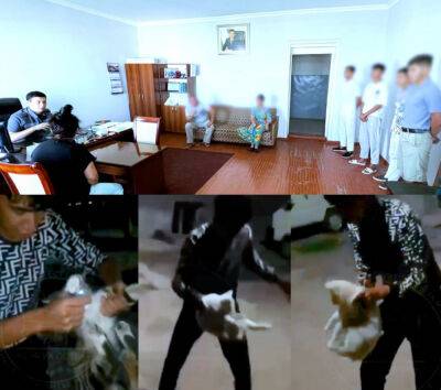 Родители подростков, которые издевались над котятами и щенком в Алмалыке, заплатят штраф - podrobno.uz - Узбекистан - Ташкент