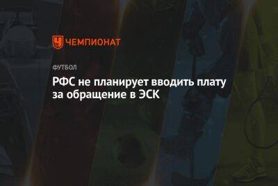 Шамиль Газизов - Тимур Журавель - РФС не планирует вводить плату за обращение в ЭСК - championat.com