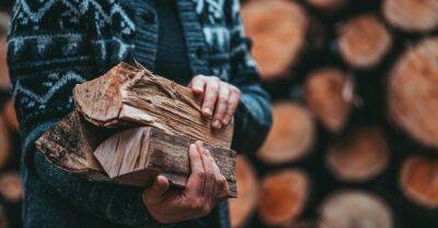 Юрис Пуце - Латвийцы смогут получить компенсацию за дрова даже без чека на покупку - rus.delfi.lv - Латвия