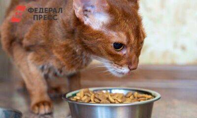 Purina приостановила производство и продажу в России некоторых кормов - smartmoney.one - Москва - Россия - Москва