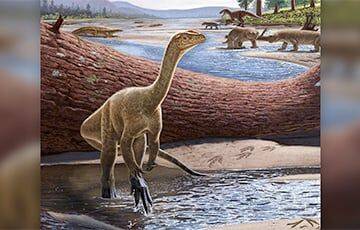 В Зимбабве обнаружили останки древнейшего динозавра Африки - charter97.org - Белоруссия - Зимбабве - шт.Северная Каролина