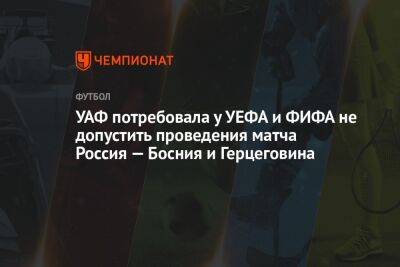 УАФ потребовала у УЕФА и ФИФА не допустить проведения матча Россия — Босния и Герцеговина - championat.com - Россия - Украина - Санкт-Петербург - Босния и Герцеговина