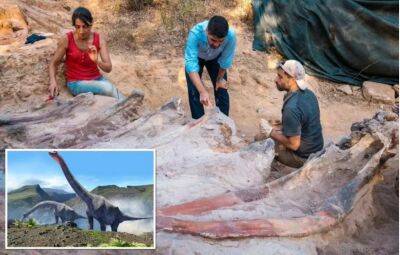 В Португалии в саду жилого дома нашли самый большой скелет динозавра в Европе - obzor.lt - Португалия