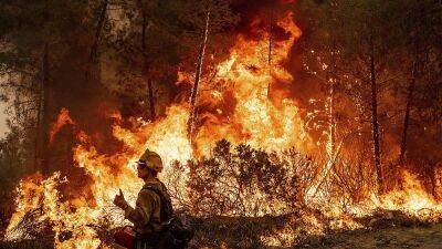 Новые лесные пожары в Калифорнии - ru.euronews.com - шт. Невада - шт. Калифорния