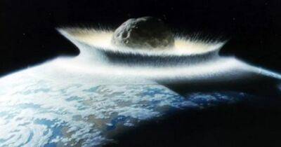 Сгорели заживо. На Земле удар древнего астероида превратил живых существ в уголь - focus.ua - Украина - Эстония - Польша - Канада