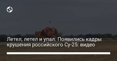 Летел, летел и упал. Появились кадры крушения российского Су-25: видео - liga.net - Россия - Украина - Крым