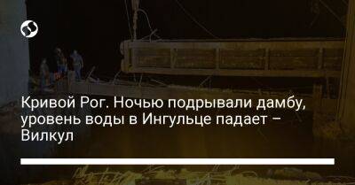 Александр Вилкул - Валентин Резниченко - Кривой Рог. Ночью подрывали дамбу, уровень воды в Ингульце падает – Вилкул - liga.net - Россия - Украина - Кривой Рог