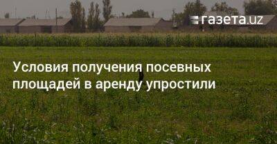 Условия получения посевных площадей в аренду упростили - gazeta.uz - Узбекистан