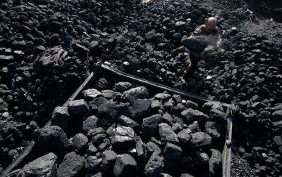 Сжигание коксующегося угля может привести к выходу из строя котлов электростанций, - УХИН - rbc.ua - Украина