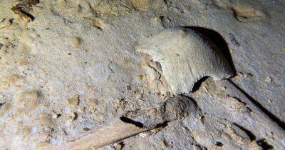 На Филиппинах нашли скелет доисторического человека из последнего ледникового периода (фото) - focus.ua - Украина - Филиппины - Manila