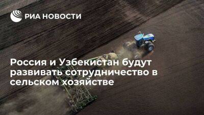 Узбекистан - Россия и Узбекистан планируют развивать сотрудничество в области сельского хозяйства - smartmoney.one - Россия - Узбекистан
