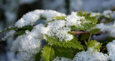 Завтра на Украину выпадет первый снег. Ожидаются сильный ветер, дожди и грозы - cxid.info - Украина