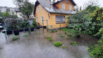 Мощный ливень накрыл Ивано-Франковск: затоплены дома, повалены деревья - 24tv.ua - Украина - Ивано-Франковская обл. - Ивано-Франковск - Гсчс