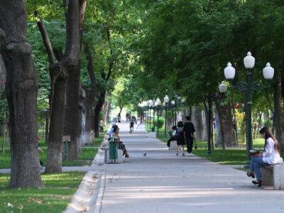 Хокимият Ташкента принял комплексный генплан по озеленению столицы - podrobno.uz - Узбекистан - Ташкент - Экология