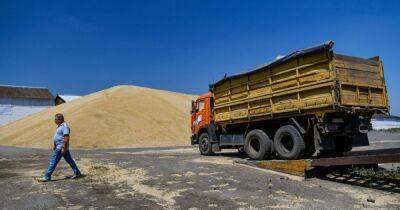 Тарас Высоцкий - Дефицит не грозит? Хватит ли украинцам пшеницы в 2023 году - focus.ua - Украина