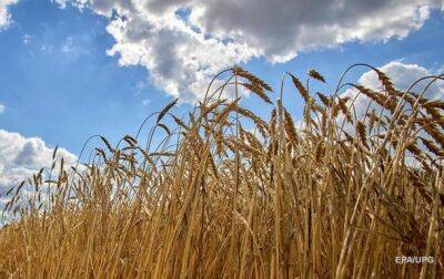Тарас Высоцкий - В Украине оценили потери урожая из-за оккупации - korrespondent.net - Россия - Украина