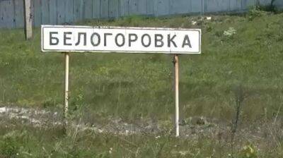ЗСУ очистили від окупантів Білогорівку - lenta.ua - Украина - Росія