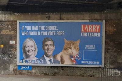 Лиз Трасс - Предвыборные плакаты с котом из резиденции Даунинг-стрит Ларри - rbnews.uk - Twitter