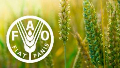 Світові ціни на продовольство знижуються п'ятий місяць поспіль, у серпні - на 1,9% - ФАО - bin.ua - США - Украина - Росія