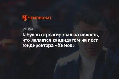 Владимир Габулов - Илья Никульников - Габулов отреагировал на новость, что является кандидатом на пост гендиректора «Химок» - championat.com