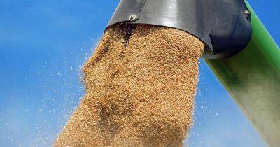Кабмин оплатил 50 тысяч тонн пшеницы для Сомали и Эфиопии - dsnews.ua - Украина - Одесса - Одесса - Эфиопия - Сомали - Черноморск