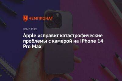 Apple исправит катастрофические проблемы с камерой на iPhone 14 Pro Max - championat.com - Россия