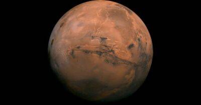 Джеймс Уэбб - Знаменитый телескоп Джеймс Уэбб впервые сделал снимки Марса (фото) - focus.ua - Украина