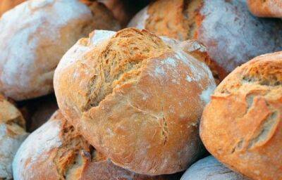 Хлеб на Кипре подорожал сильнее, чем в ЕС - vkcyprus.com - Франция - Эстония - Венгрия - Литва - Финляндия - Мальта - Кипр - Голландия - Словакия - Люксембург