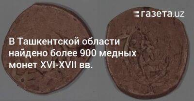 В Ташкентской области найдено более 900 медных монет XVI—XVII вв. - gazeta.uz - Узбекистан - Ташкент