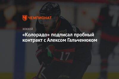 Алексей Гальченюк - «Колорадо» подписал пробный контракт с Алексом Гальченюком - championat.com - США - шт. Колорадо - шт. Миннесота - шт. Аризона - Оттава