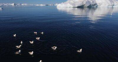 Чудовищно исхудала. Ученые из NASA взвесили Гренландию – крупнейший остров на Земле - focus.ua - Украина - Гренландия