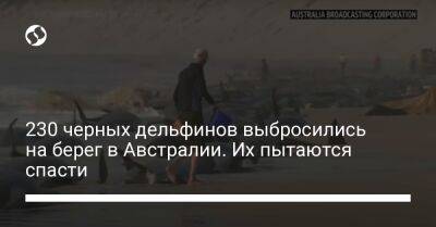 230 черных дельфинов выбросились на берег в Австралии. Их пытаются спасти - liga.net - Украина - Австралия