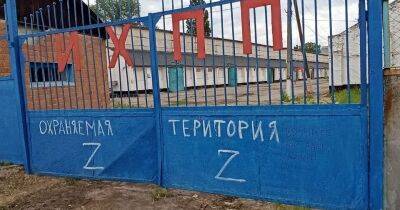 Работа за еду, трупы в мешках и конфеты от россиян. Что происходило в Харьковской области во время оккупации - rus.delfi.lv - Украина - ДНР - ЛНР - Афганистан - Харьковская обл. - Латвия